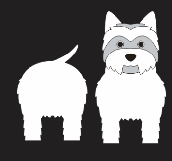 imagem do arquivo vetor para download Caixa Cão White Terrier