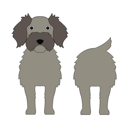 imagem do arquivo vetor para download Caixa cão Affenpoo
