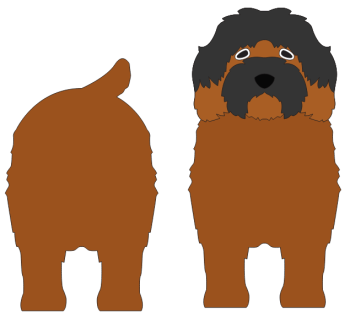 imagem do arquivo vetor para download Caixa cão Cavachon