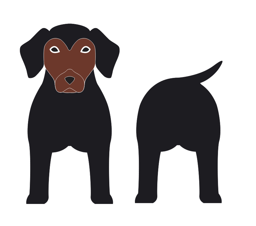imagem do arquivo vetor para download Caixa cão Doxle