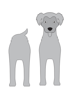 imagem do arquivo vetor para download Caixa cão Golden Shepherd