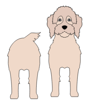 imagem do arquivo vetor para download Caixa cão Mastidoodle
