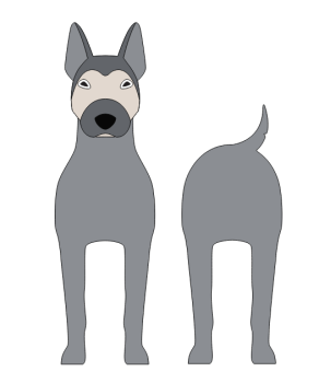 imagem do arquivo vetor para download Caixa cão Pitsky