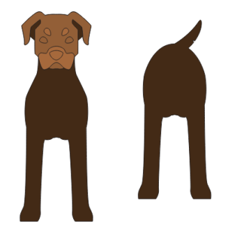 imagem do arquivo vetor para download Caixa cão Pitweiler