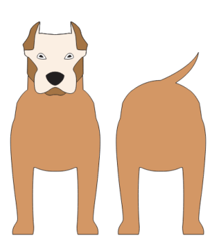 imagem do arquivo vetor para download Caixa cão American Pit Bull Terrier