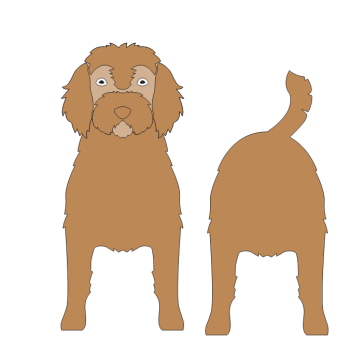 imagem do arquivo vetor para download Caixa cão Cadoodle