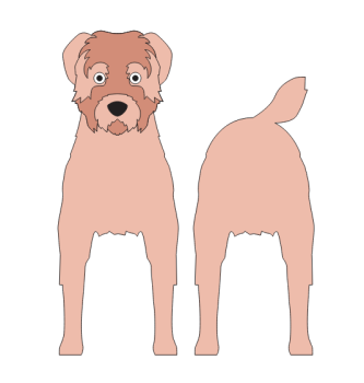 imagem do arquivo vetor para download Caixa cão Cadoodle