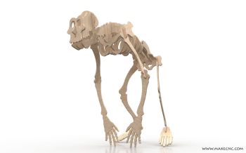 imagem do arquivo vetor para download Chimpanzee 3D