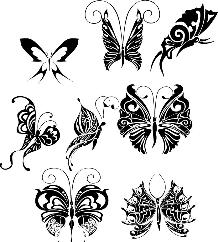 imagem do arquivo vetor para download Desenho de tatuagem de borboleta