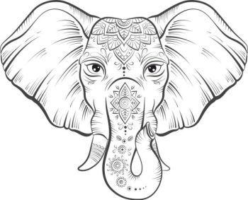 imagem do arquivo vetor para download Elefante com lótus 