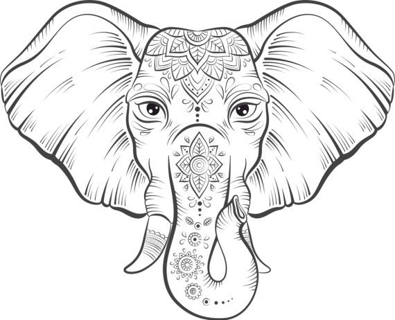 imagem do arquivo vetor para download Elefante com lótus 