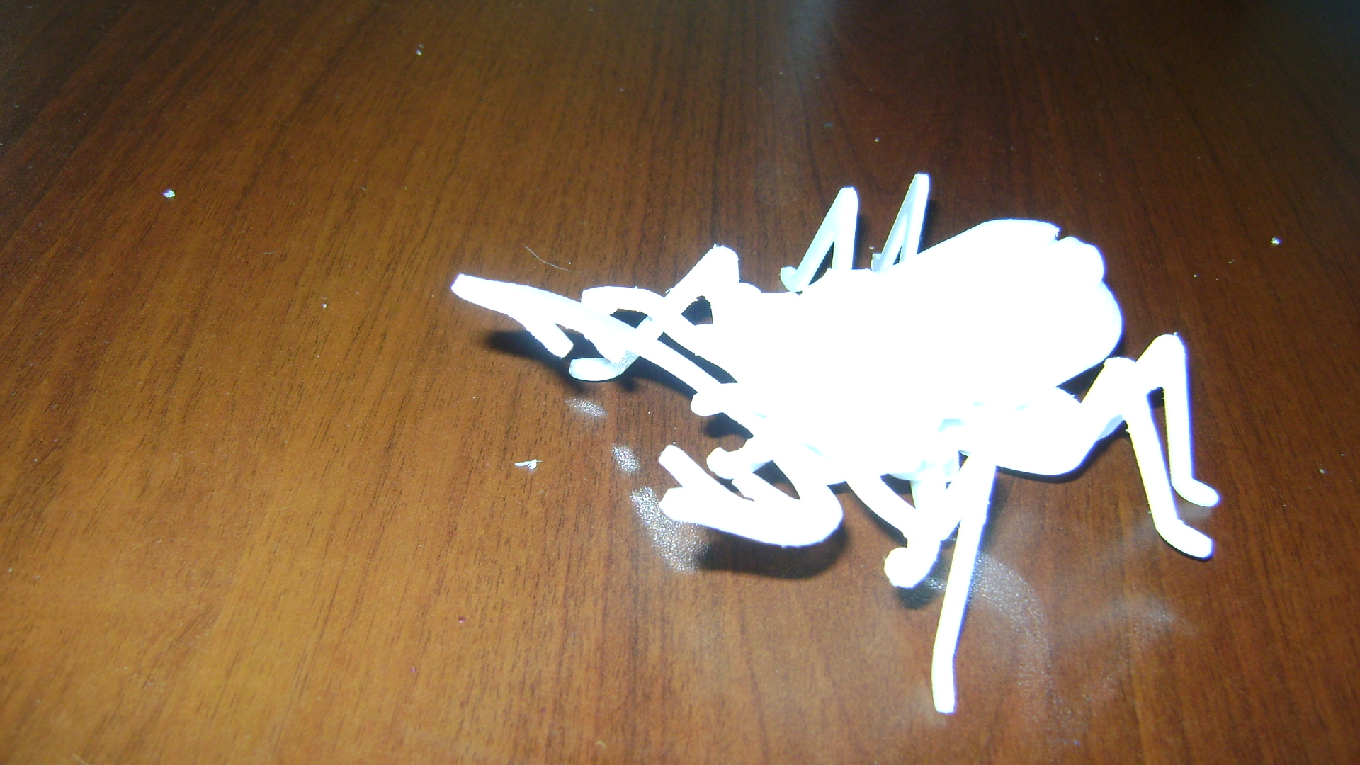 imagem do arquivo vetor para download Escaravelho 3D