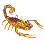 imagem do arquivo vetor para download Escorpião 3D