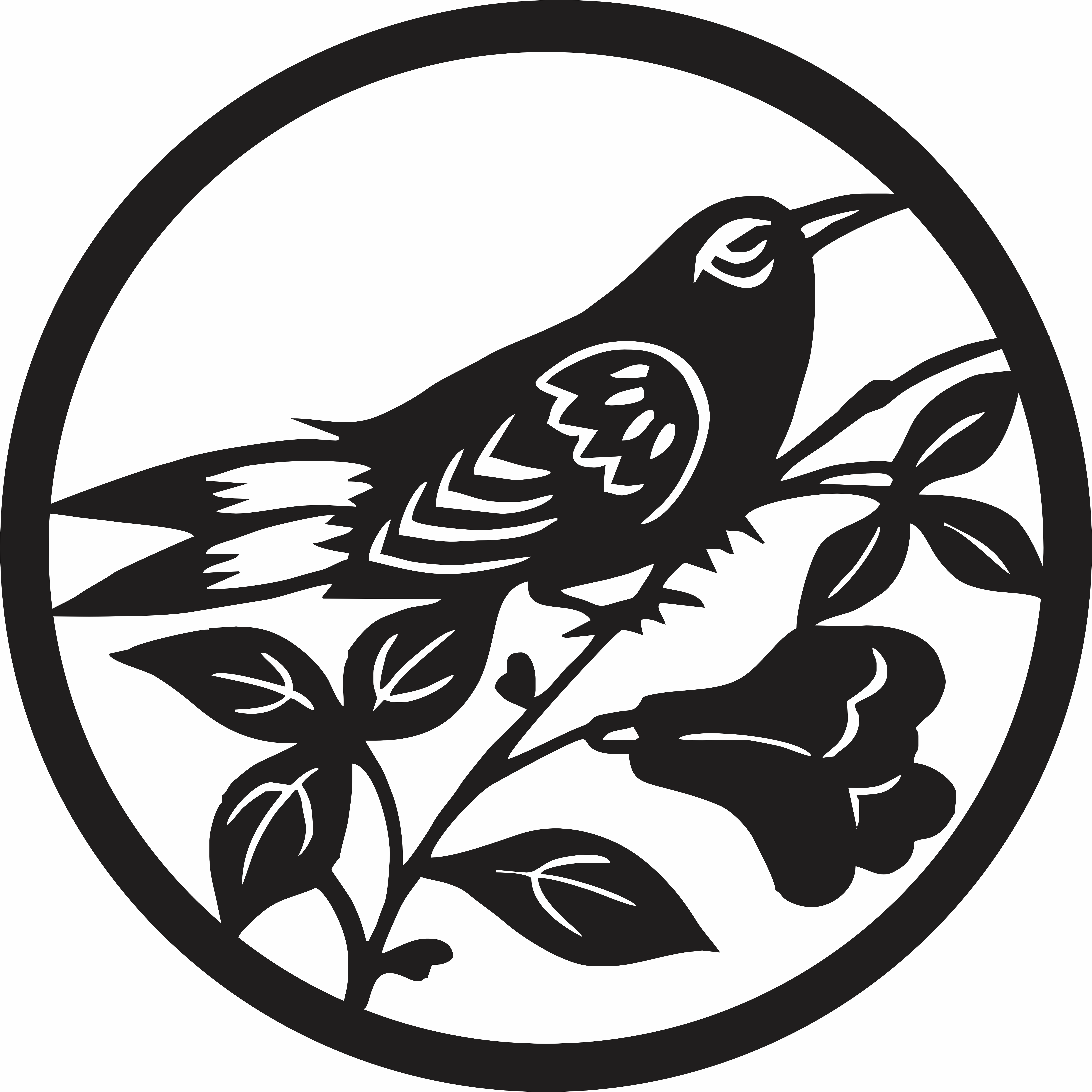 imagem do arquivo vetor para download Mandala Pássaro Imperial