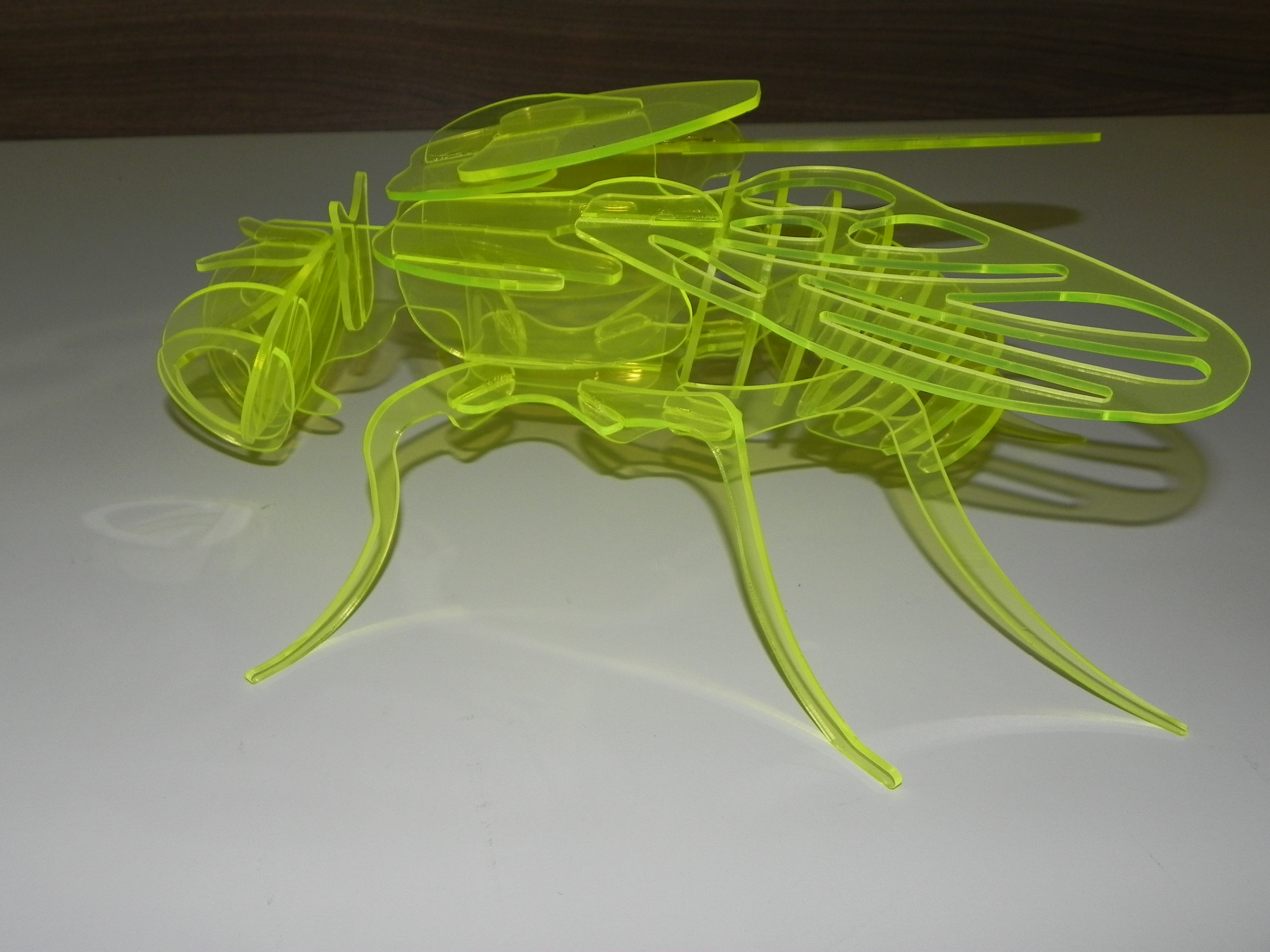 imagem do arquivo vetor para download Mosca 3D