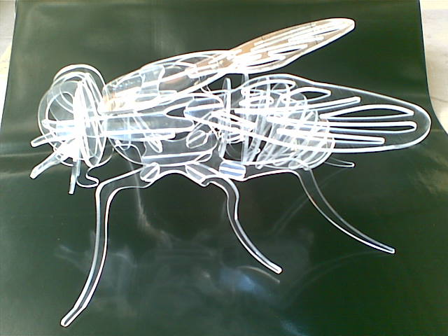 imagem do arquivo vetor para download Mosquito 3D