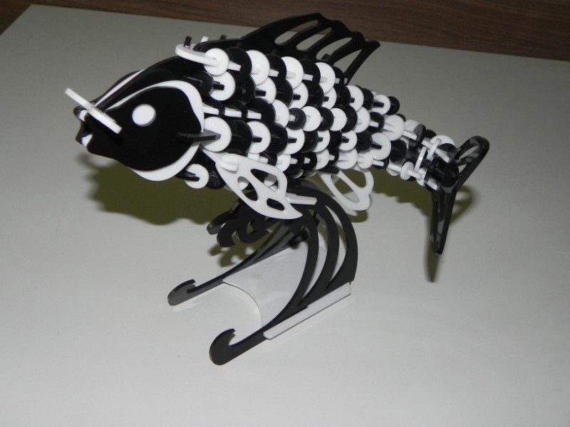 imagem do arquivo vetor para download Peixe 3D