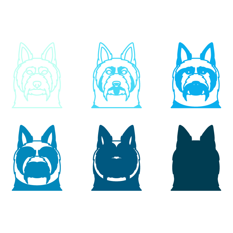 imagem do arquivo vetor para download Vetor de Raça canina Terriers Sedosos