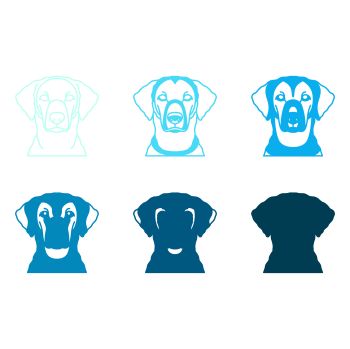 imagem do arquivo vetor para download Vetor de cães da raça Curly Coated Retriever