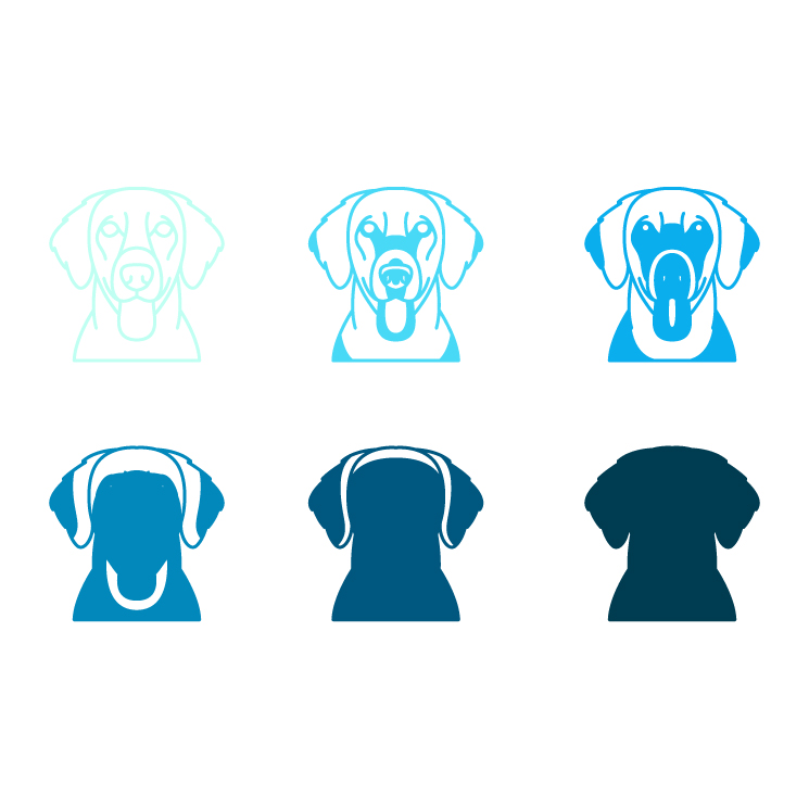 imagem do arquivo vetor para download Vetor de cães da raça Flat Coated Retriever