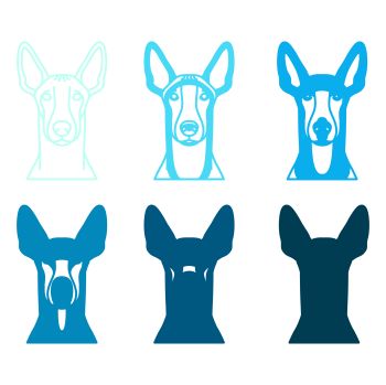 imagem do arquivo vetor para download Vetor de cães da raça Pharaoh Hound