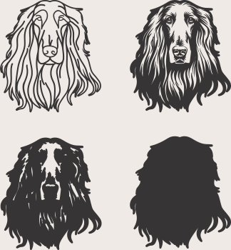 imagem do arquivo vetor para download Vetor de cão Afghan hound