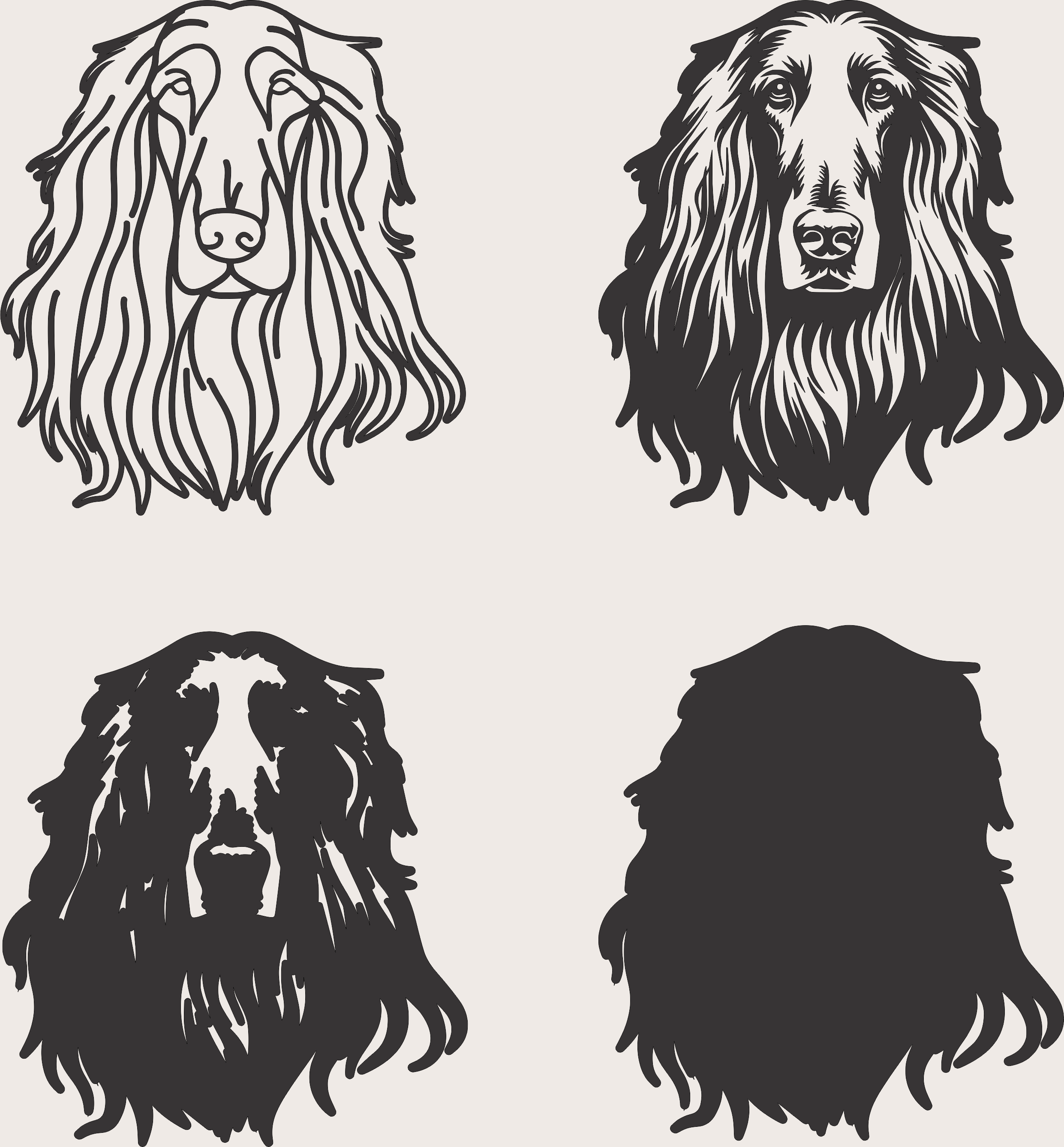 imagem do arquivo vetor para download Vetor de cão Afghan hound