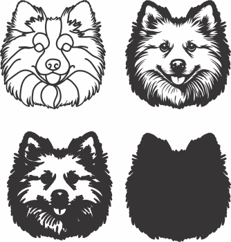 imagem do arquivo vetor para download Vetor de cão American Eskimo