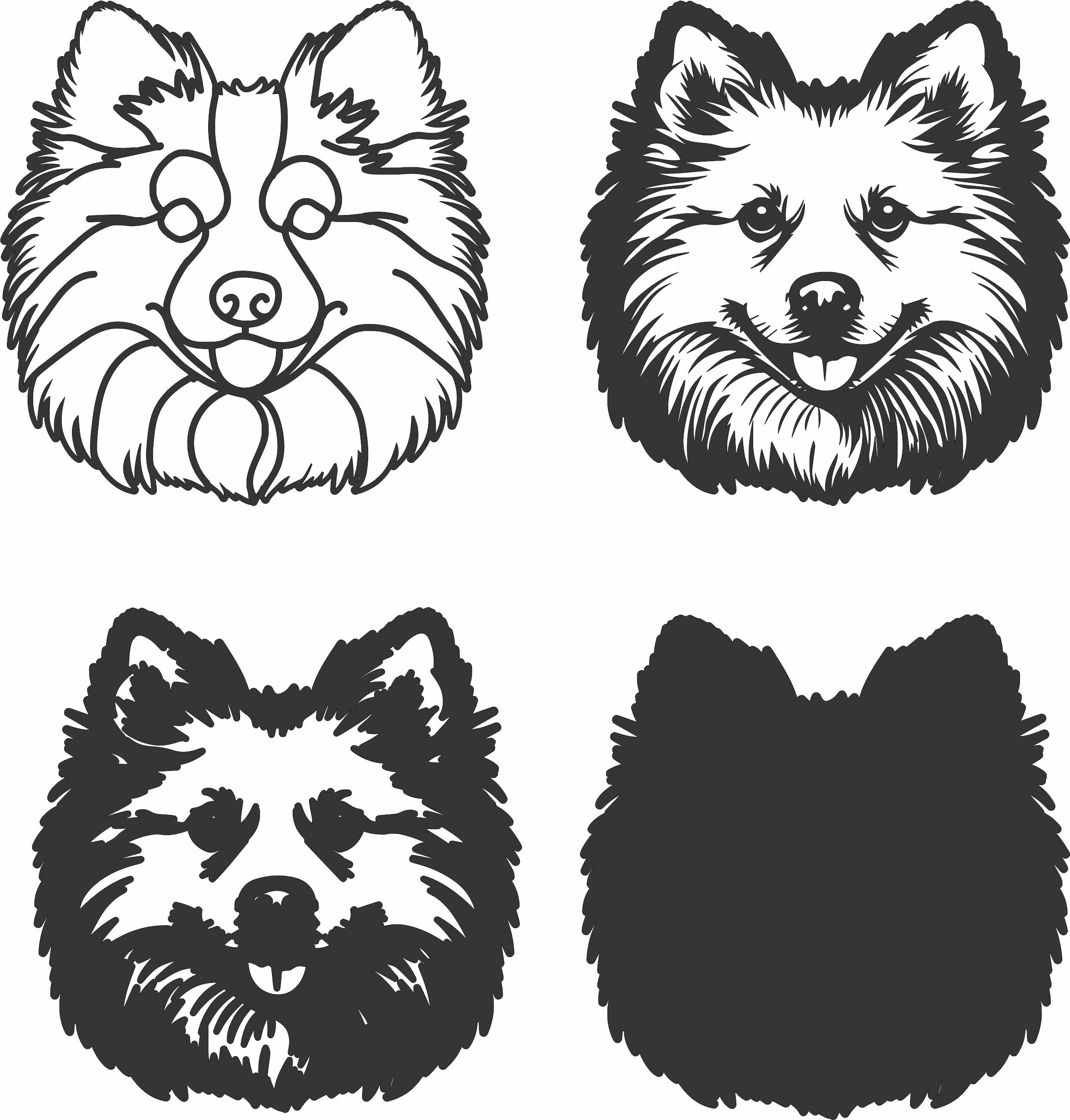 imagem do arquivo vetor para download Vetor de cão American Eskimo