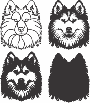 imagem do arquivo vetor para download Vetor de cão American Eskimo2