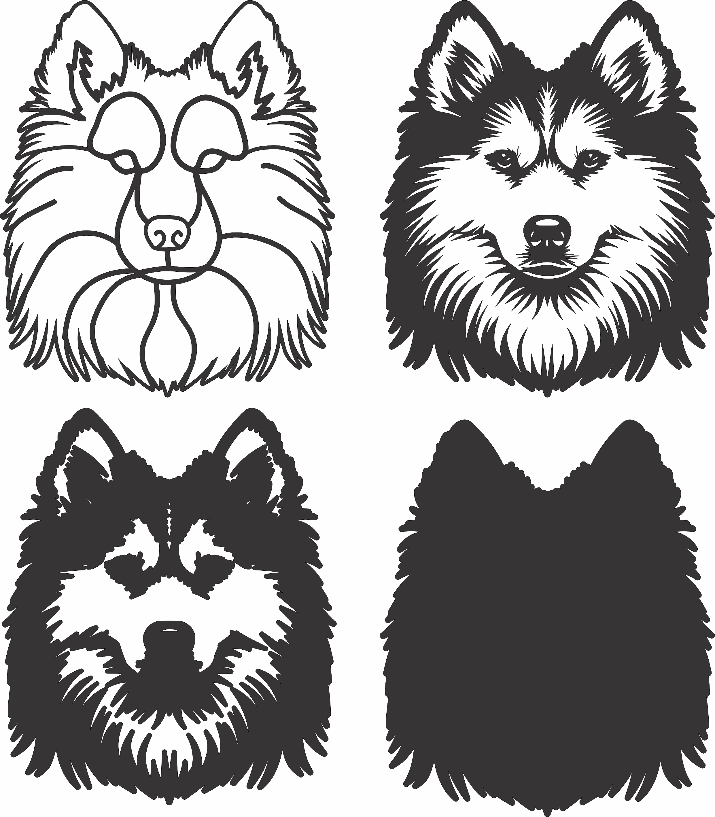 imagem do arquivo vetor para download Vetor de cão American Eskimo2