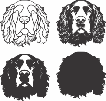 imagem do arquivo vetor para download Vetor de cão American Water Spani