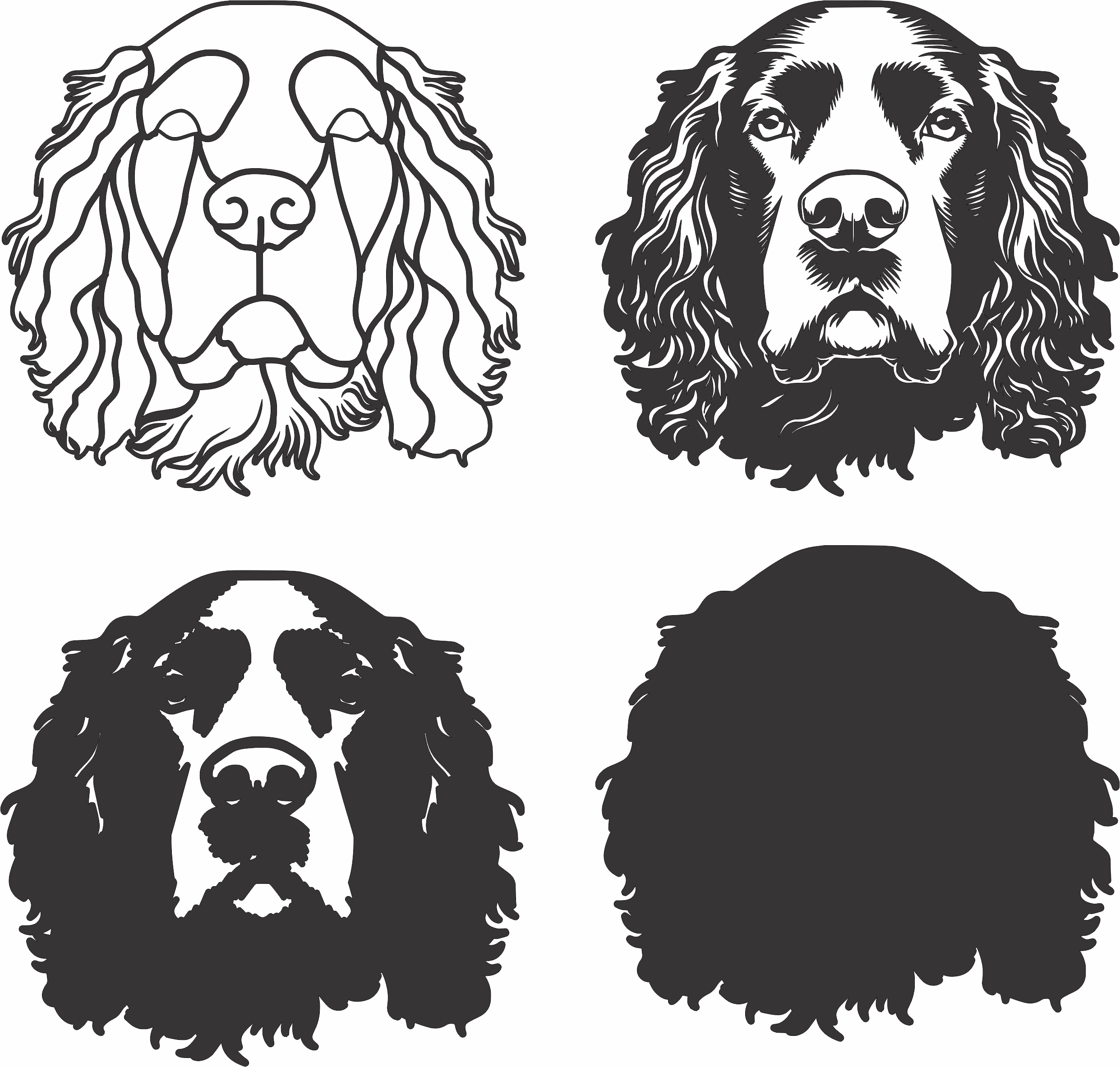 imagem do arquivo vetor para download Vetor de cão American Water Spani