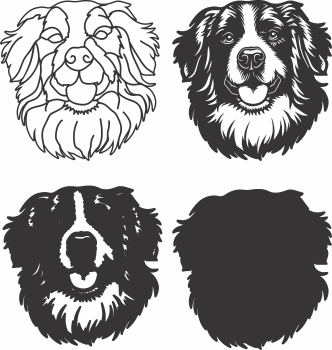 imagem do arquivo vetor para download Vetor de cão Bernese Mountain
