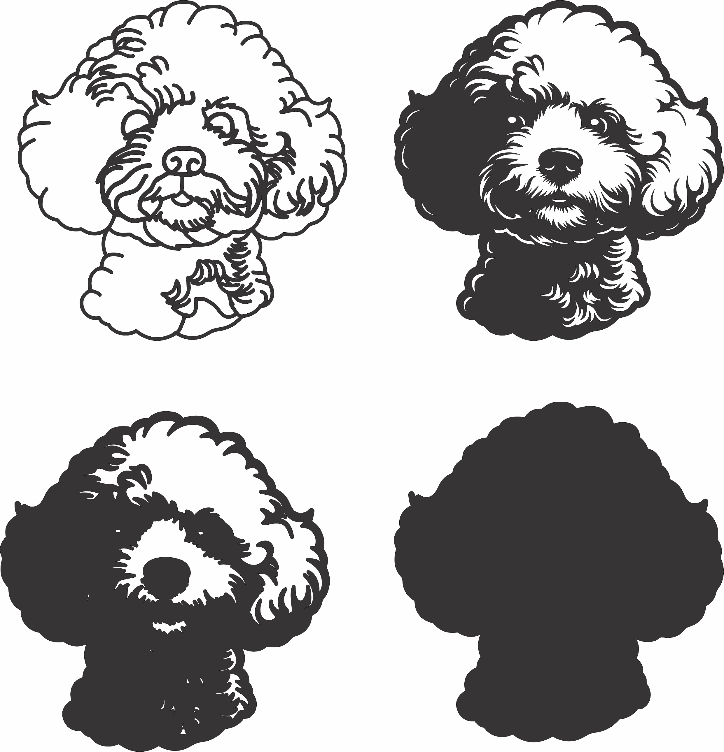 imagem do arquivo vetor para download Vetor de cão Bichon Frise