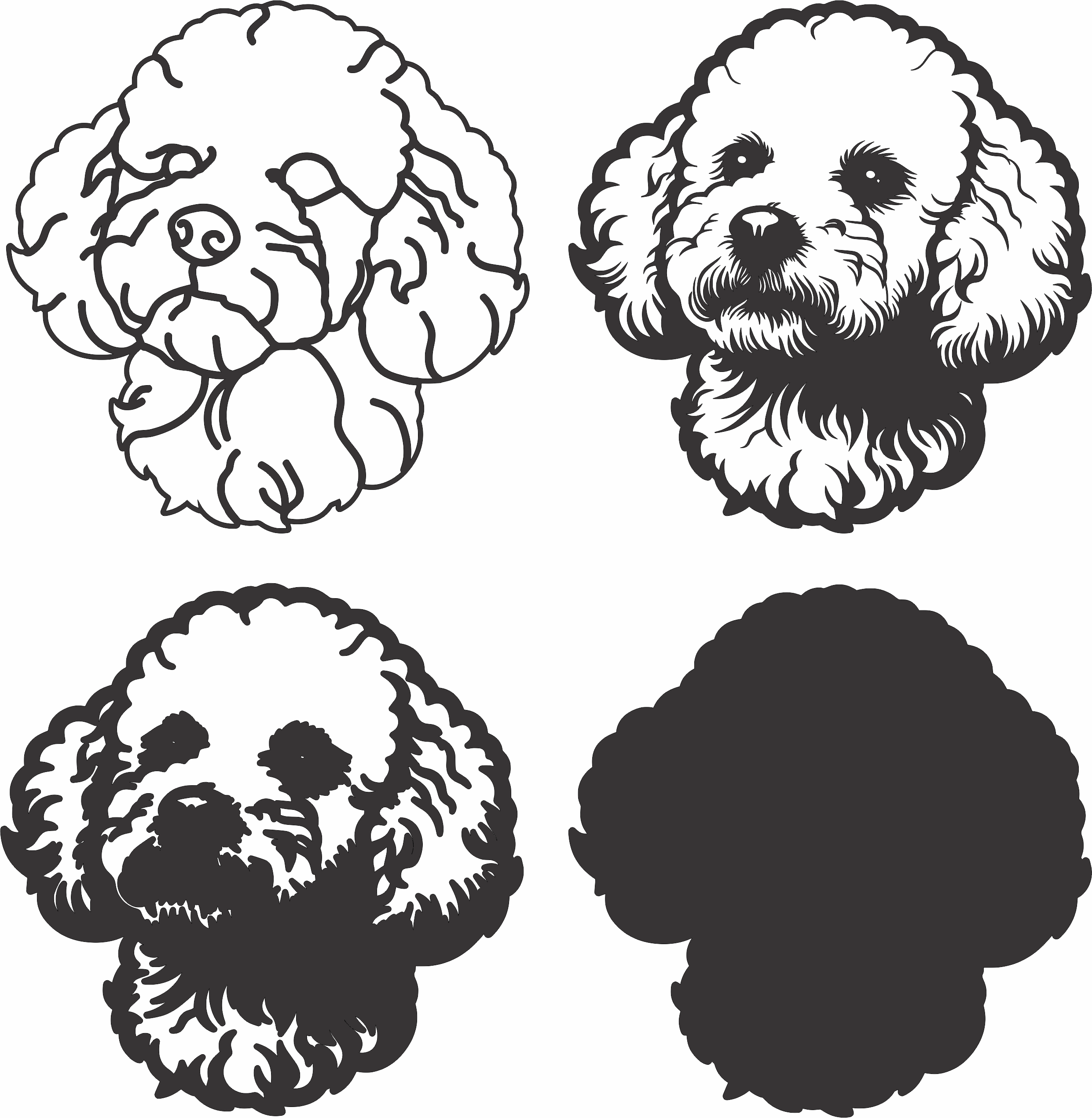 imagem do arquivo vetor para download Vetor de cão Bichon Frise