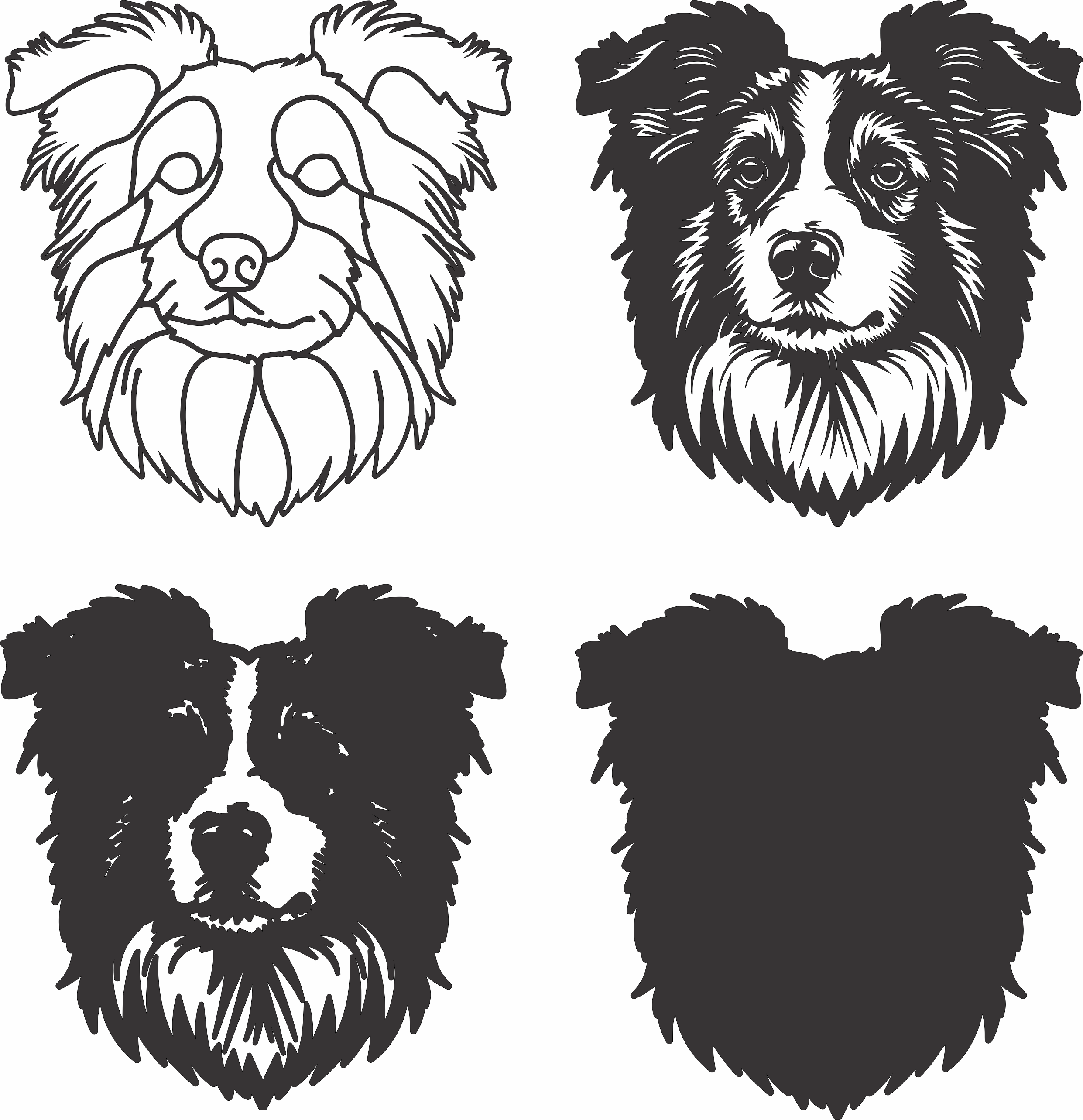 imagem do arquivo vetor para download Vetor de cão Border Collie