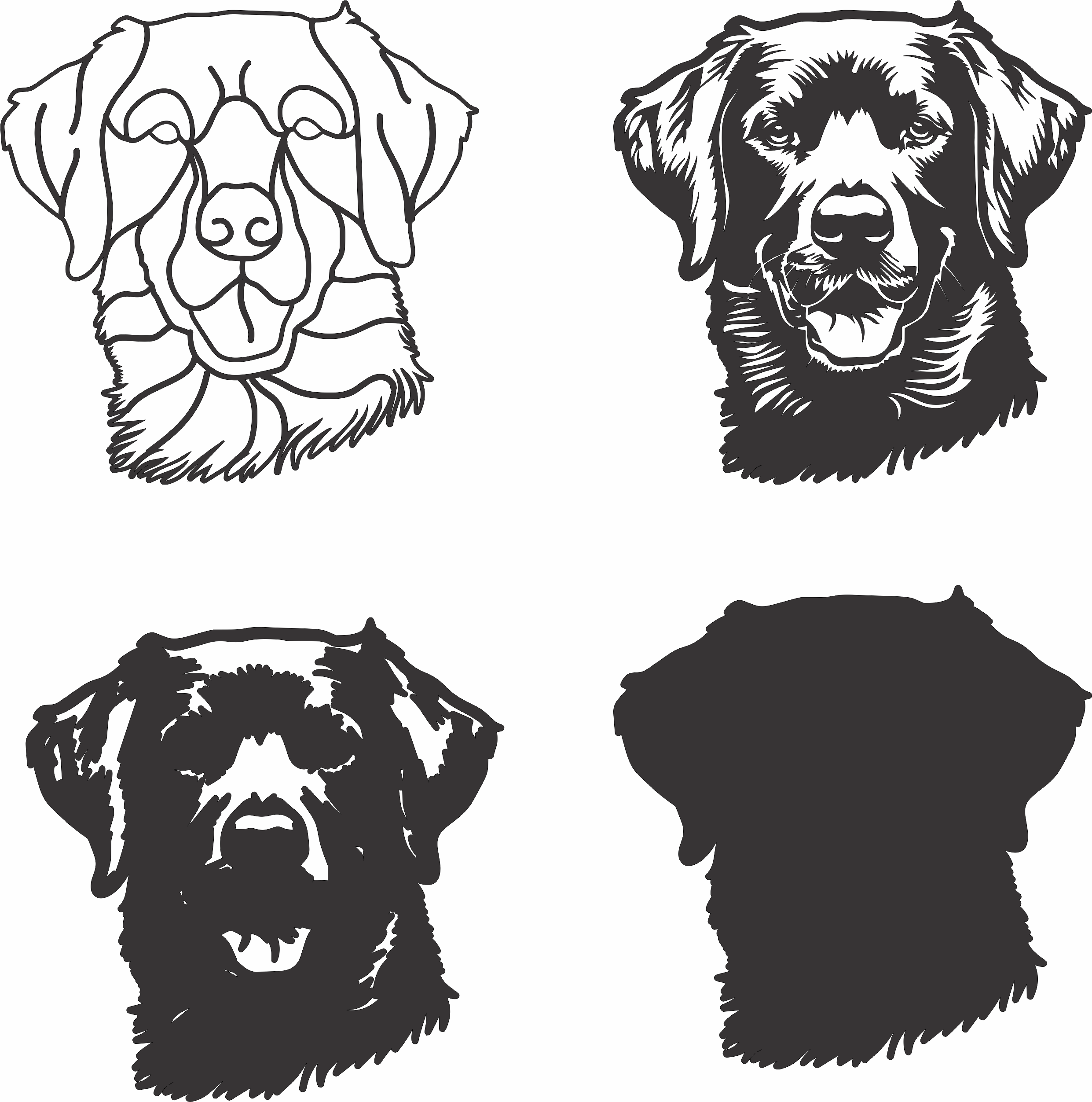 imagem do arquivo vetor para download Vetor de cão Chesapeake Bay Retri