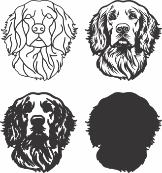 imagem do arquivo vetor para download Vetor de cão Clumber Spaniel.