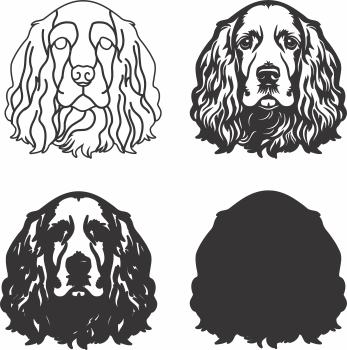 imagem do arquivo vetor para download Vetor de cão Cocker Spaniel.