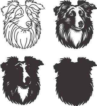 imagem do arquivo vetor para download Vetor de cão Collie 