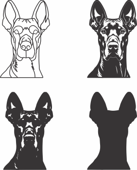 imagem do arquivo vetor para download Vetor de cão Doberman Pinscher