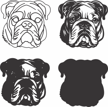 imagem do arquivo vetor para download Vetor de cão English Bulldog 2