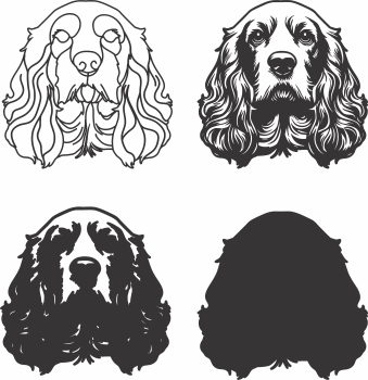 imagem do arquivo vetor para download Vetor de cão English Cocker Spani