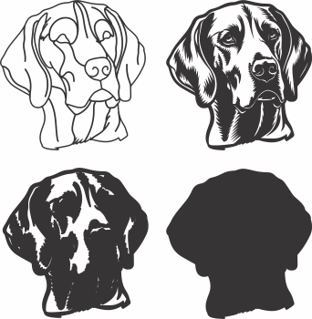 imagem do arquivo vetor para download Vetor de cão English Foxhound.