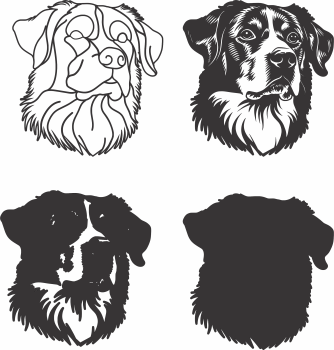 imagem do arquivo vetor para download Vetor de cão Entlebucher Mountain 2