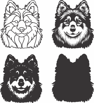 imagem do arquivo vetor para download Vetor de cão Finnish Lapphund