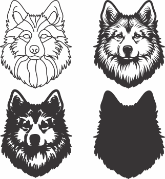 imagem do arquivo vetor para download Vetor de cão Finnish Spitz