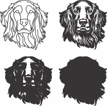 imagem do arquivo vetor para download Vetor de cão Irish Setter