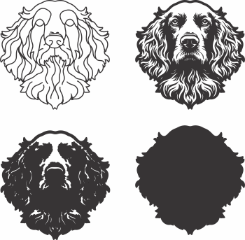 imagem do arquivo vetor para download Vetor de cão Irish Water Spaniel